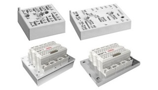 SKIIP modules.